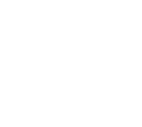 Third Vision Ltd.